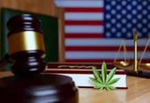 The Looming Rescheduling of Cannabis in the US and Its Industry-Wide Repercussions
