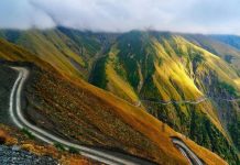 Georgia Road Trip Without the Crowds: 6 Routes for a Different Kind of Holiday
